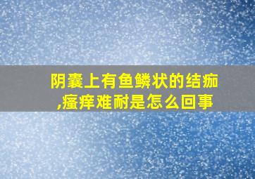 阴囊上有鱼鳞状的结痂,瘙痒难耐是怎么回事