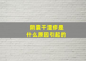 阴囊干湿疹是什么原因引起的