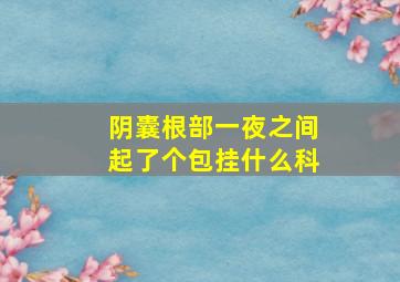 阴囊根部一夜之间起了个包挂什么科