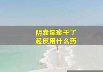 阴囊湿疹干了起皮用什么药