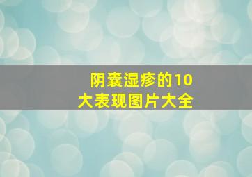 阴囊湿疹的10大表现图片大全