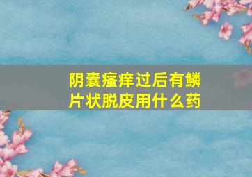 阴囊瘙痒过后有鳞片状脱皮用什么药