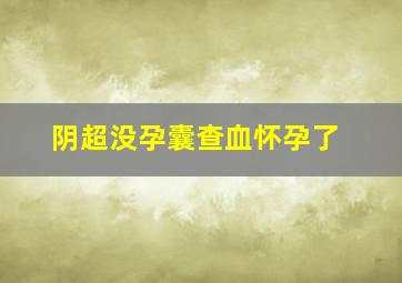 阴超没孕囊查血怀孕了