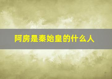 阿房是秦始皇的什么人