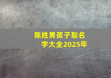 陈姓男孩子取名字大全2025年