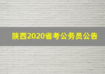 陕西2020省考公务员公告