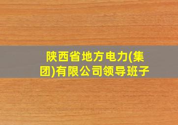 陕西省地方电力(集团)有限公司领导班子