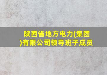 陕西省地方电力(集团)有限公司领导班子成员