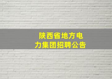 陕西省地方电力集团招聘公告