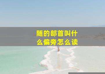 随的部首叫什么偏旁怎么读