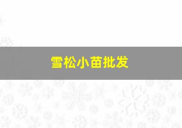 雪松小苗批发