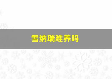 雪纳瑞难养吗