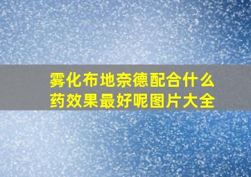 雾化布地奈德配合什么药效果最好呢图片大全