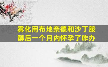 雾化用布地奈德和沙丁胺醇后一个月内怀孕了咋办