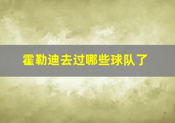 霍勒迪去过哪些球队了