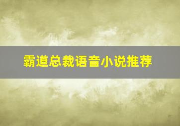 霸道总裁语音小说推荐