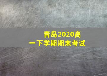 青岛2020高一下学期期末考试