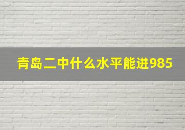 青岛二中什么水平能进985