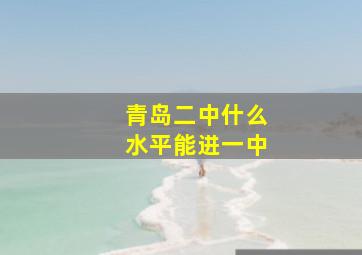 青岛二中什么水平能进一中