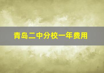 青岛二中分校一年费用