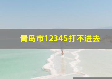 青岛市12345打不进去