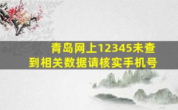 青岛网上12345未查到相关数据请核实手机号