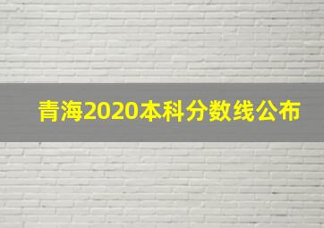 青海2020本科分数线公布