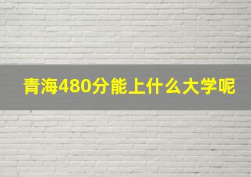 青海480分能上什么大学呢