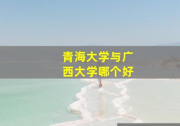 青海大学与广西大学哪个好