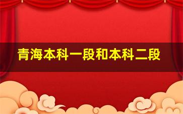 青海本科一段和本科二段