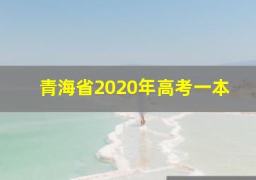 青海省2020年高考一本