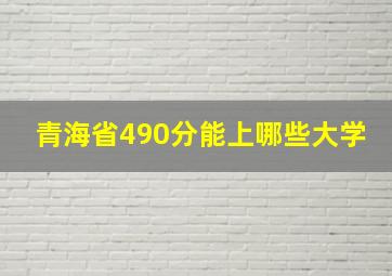 青海省490分能上哪些大学