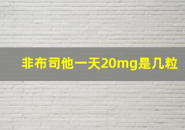 非布司他一天20mg是几粒