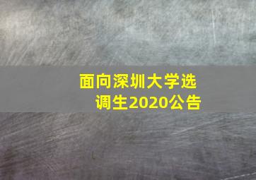 面向深圳大学选调生2020公告