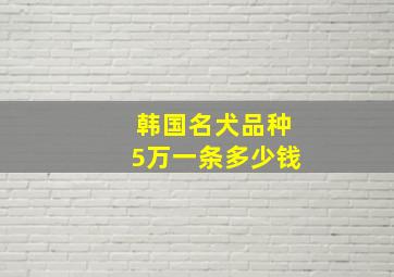 韩国名犬品种5万一条多少钱