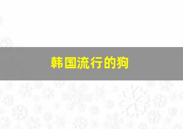 韩国流行的狗