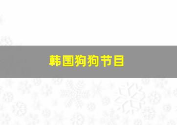 韩国狗狗节目