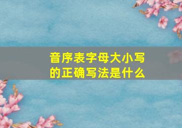 音序表字母大小写的正确写法是什么