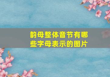 韵母整体音节有哪些字母表示的图片