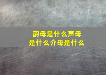 韵母是什么声母是什么介母是什么