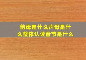 韵母是什么声母是什么整体认读音节是什么