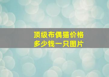 顶级布偶猫价格多少钱一只图片