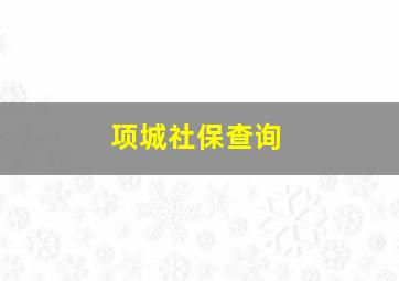 项城社保查询