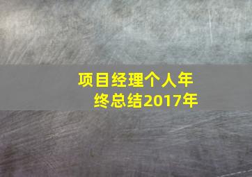 项目经理个人年终总结2017年