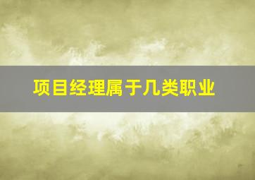 项目经理属于几类职业