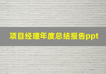 项目经理年度总结报告ppt