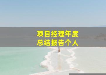 项目经理年度总结报告个人