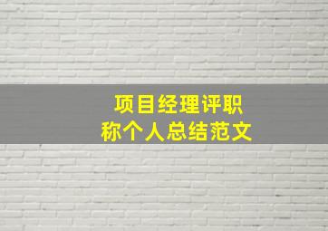 项目经理评职称个人总结范文