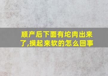 顺产后下面有坨肉出来了,摸起来软的怎么回事