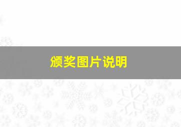 颁奖图片说明